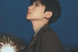 吃瓜人王源,吃瓜界的明星，揭秘娱乐圈幕后故事