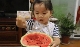 吃瓜群众只吃瓜不卖瓜,静观瓜田，不卖瓜香