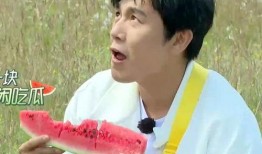 吃瓜名,吃瓜群众眼中的明星幕后故事