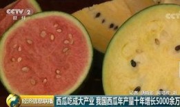 中国吃瓜的历史,中国吃瓜历史的趣味回顾