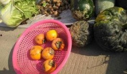 大妈吃瓜叫什么,揭秘娱乐圈幕后风云