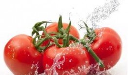 天天吃瓜番茄小说