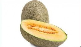 选择吃哈密瓜,哈密瓜的诱惑之旅