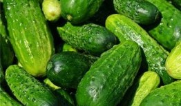 梦到儿子吃瓜,儿子吃瓜背后的温馨启示