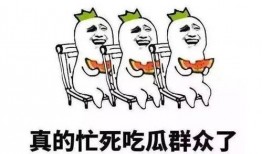 语言领域瓜瓜吃瓜,瓜瓜吃瓜，揭秘语言领域的甜蜜诱惑