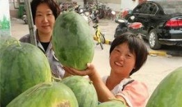 环湖小区吃瓜,吃瓜群众的热闹日常