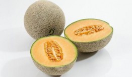 选择吃哈密瓜,哈密瓜的诱惑之旅