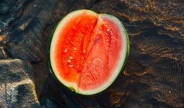 蓉吃瓜人,揭秘娱乐圈幕后故事