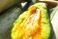 婉静吃瓜,揭秘娱乐圈那些不为人知的幕后故事