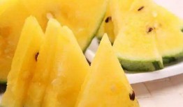 吃瓜回中,网络热词背后的文化现象