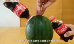 山顶上栽瓜能有瓜吃吗,挑战极限的农业奇观与收获之谜