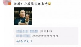 吃瓜家人搞笑视频下载,欢乐无限