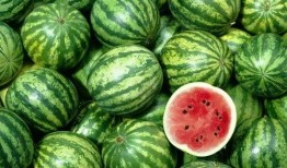 吃瓜汇,揭秘娱乐圈幕后故事，带你领略明星真实生活