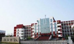 致远中学吃瓜,揭秘校园里的“瓜田”风云