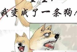 吃瓜校园小说在线阅读,揭秘那些不为人知的秘密