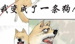 吃瓜校园小说在线阅读,揭秘那些不为人知的秘密