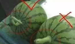 科技吃瓜论,揭秘“吃瓜群众”的科技生活新趋势