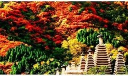 香山吃瓜小说,一场穿越时空的吃瓜奇遇