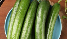 脾虚可以吃小瓜吗