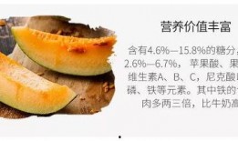 新疆的吃瓜视频,吃瓜视频里的甜蜜生活画卷