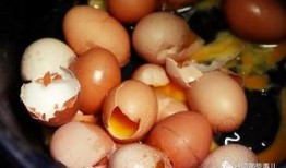 没毒的鸡瓜可以吃,健康美味的绿色食材探索