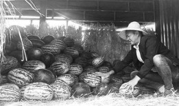 吃瓜群众雕塑视频,趣味横生的社会现象缩影