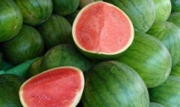 吃瓜如何分享,轻松打造你的趣味资讯圈