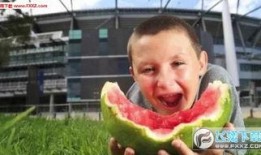 小君吃瓜视频,揭秘娱乐圈幕后故事