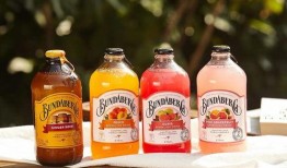 哈吃密瓜饮品,夏日清凉新选择，尽享甜蜜滋味