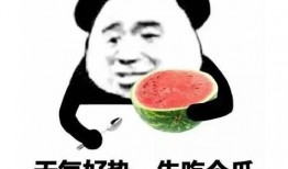 稷泽吃瓜表情包