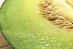 佛山大良吃瓜,夏日吃瓜盛宴，品味传统与现代的交融