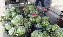 微山吃瓜事件后续故事