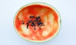 秋天吃瓜要用勺子吃文案,尽享丰收滋味时