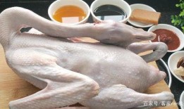 吃瓜鹅大神全集,揭秘娱乐圈幕后风云