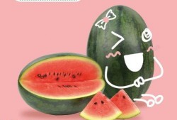 健康的吃瓜,如何科学吃瓜养生