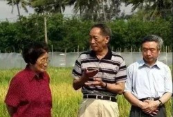 西南农业吃瓜,瓜果飘香，丰收在望