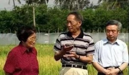 西南农业吃瓜,瓜果飘香，丰收在望