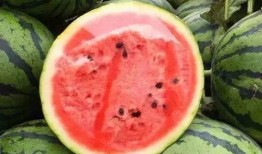 大西米君吃瓜,一场吃瓜盛宴背后的故事