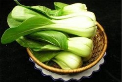 小透明吃瓜菜菜,揭秘娱乐圈幕后故事