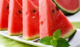 腐肉瓜怎么吃,探索美味佳肴的制作与享用之道