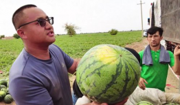 柳铁吃瓜,揭秘铁路行业背后的那些事儿