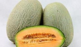 哈密瓜和角瓜一起吃吗,哈密瓜与角瓜搭配食用指南