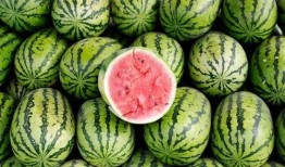 53吃瓜怎么下载,一键获取热门内容