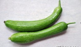 瓜怎么吃不发黑,如何切瓜不发黑，保持新鲜美味