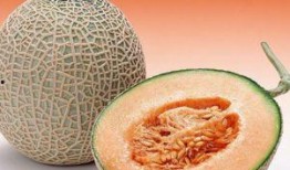 化疗时可以吃哈密瓜吗,化疗期间适宜食用哈密瓜吗？