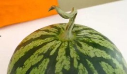 王新芳 伏天吃瓜,王新芳教你如何享受夏日美味