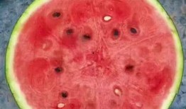 吃瓜神片,吃瓜神片背后的真相与内幕