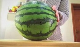 吃西瓜籽的瓜叫什么瓜,揭秘吃西瓜籽的瓜的独特名称