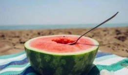 让客人吃瓜,一场别开生面的美食之旅