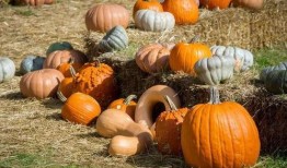 广铁吃瓜,揭秘铁路行业背后的那些事儿